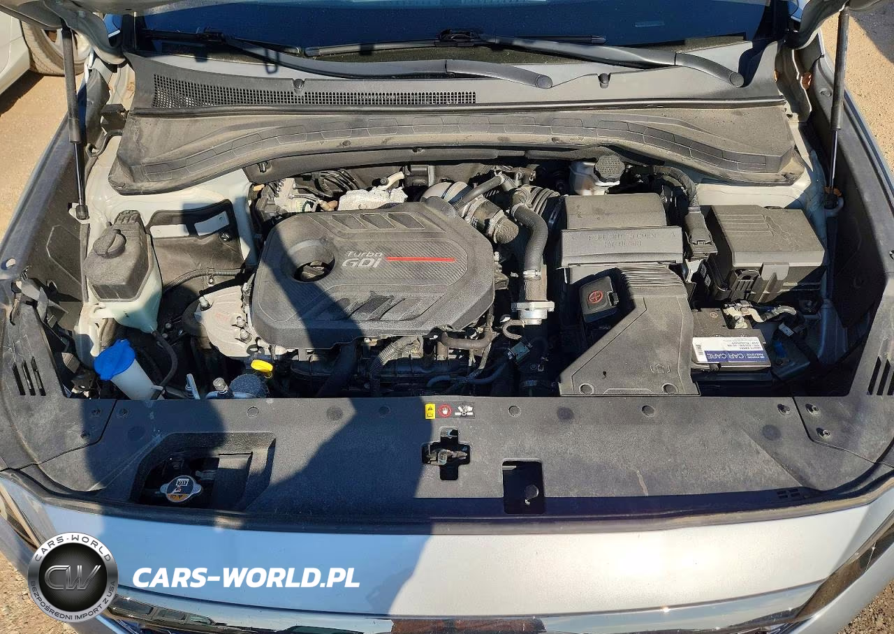 2020 Hyundai Santa Fe Limited 2.0T VIN:5NMS5CAA9LH219322 - 12