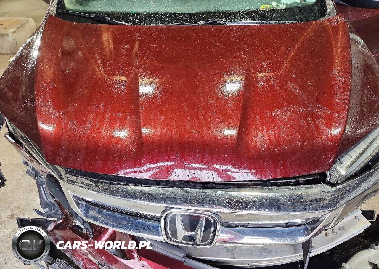 2019 Honda Pilot Exl VIN:5FNYF6H55KB013304 - 11