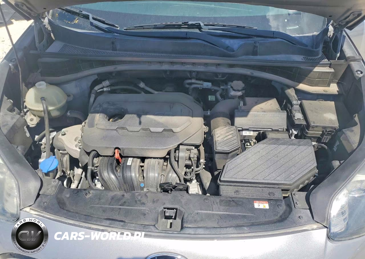2020 Kia Sportage Lx VIN:KNDPM3AC7L7635421 - 12