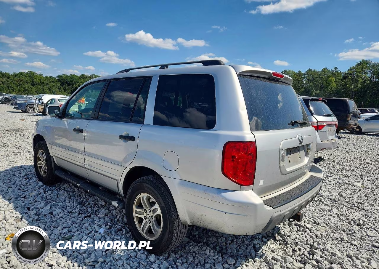 2005 Honda Pilot Ex VIN:5FNYF18405B049304 - 2