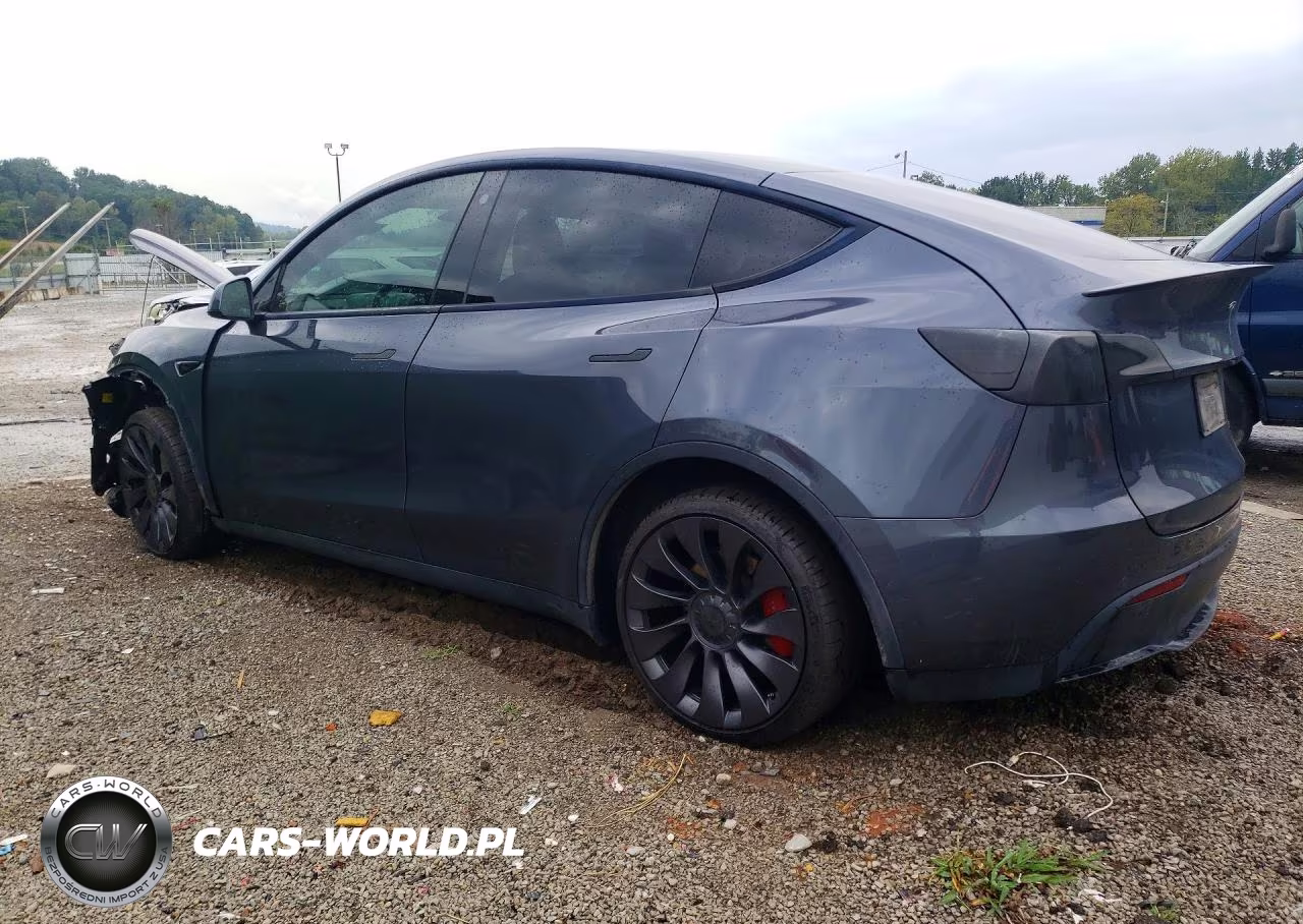 2022 Tesla Model Y VIN:7SAYGDEF2NF462400 - 2