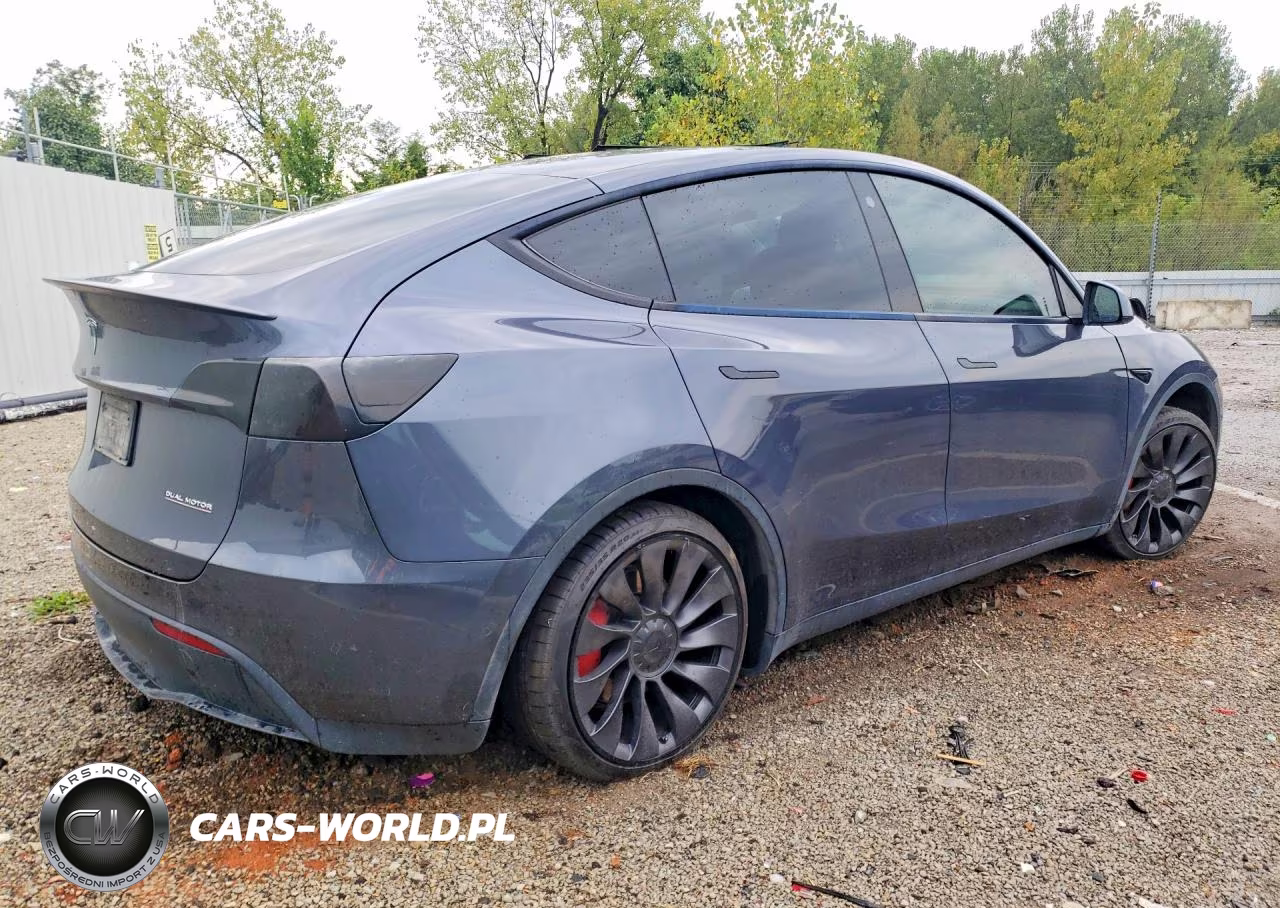 2022 Tesla Model Y VIN:7SAYGDEF2NF462400 - 3