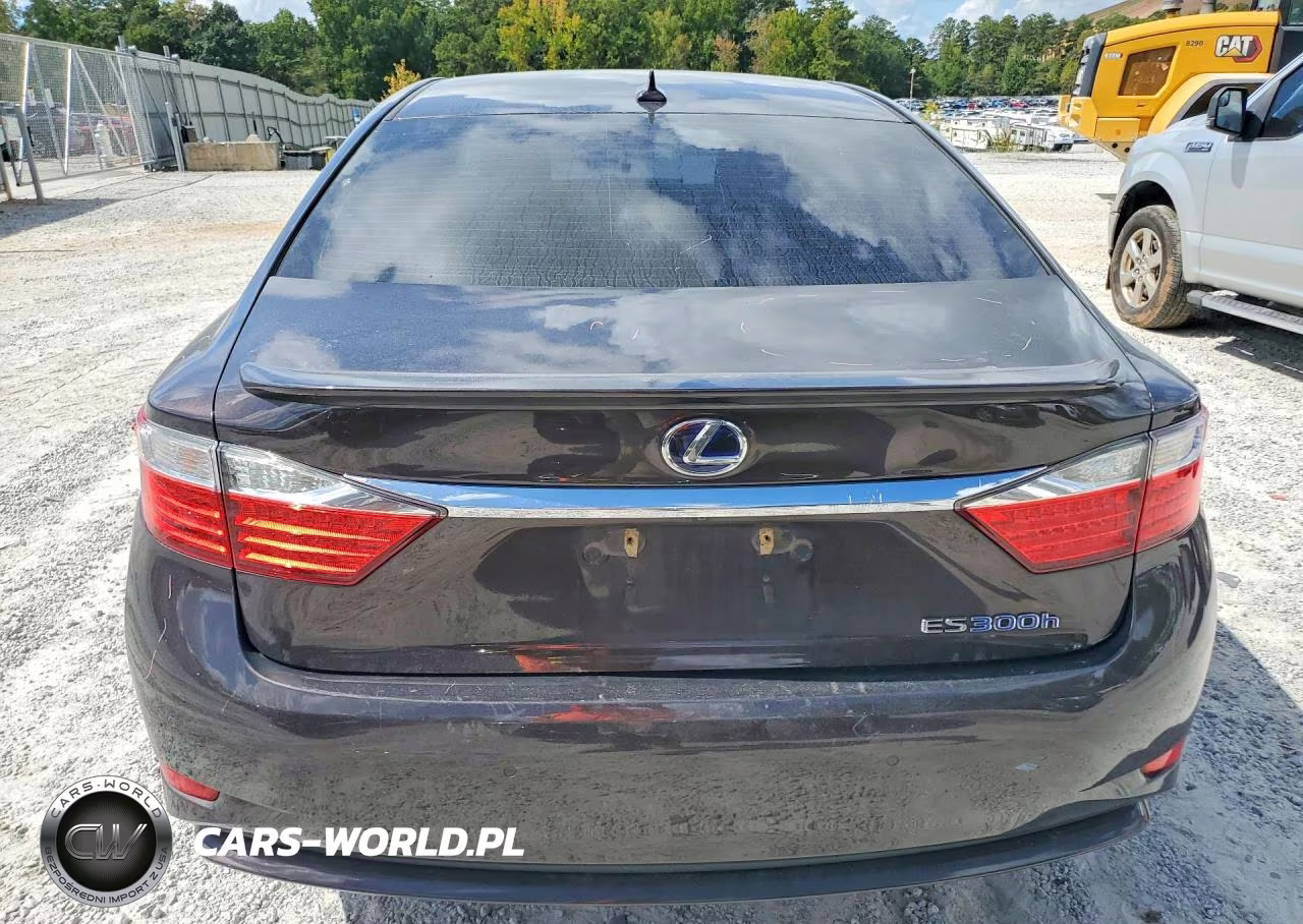 2014 Lexus Es 300H VIN:JTHBW1GG2E2067371 - 6