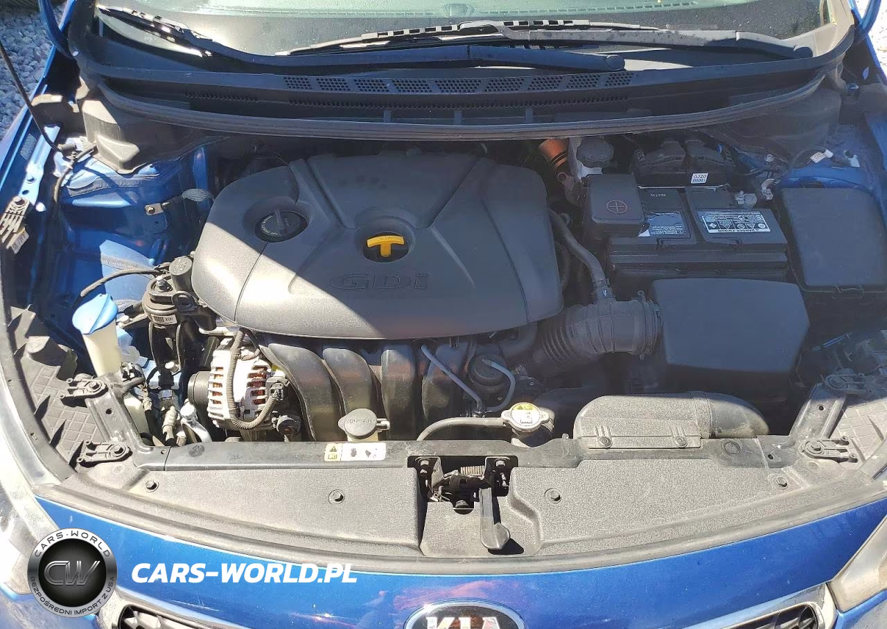 2014 Kia Forte Ex VIN:KNAFX4A80E5112421 - 11