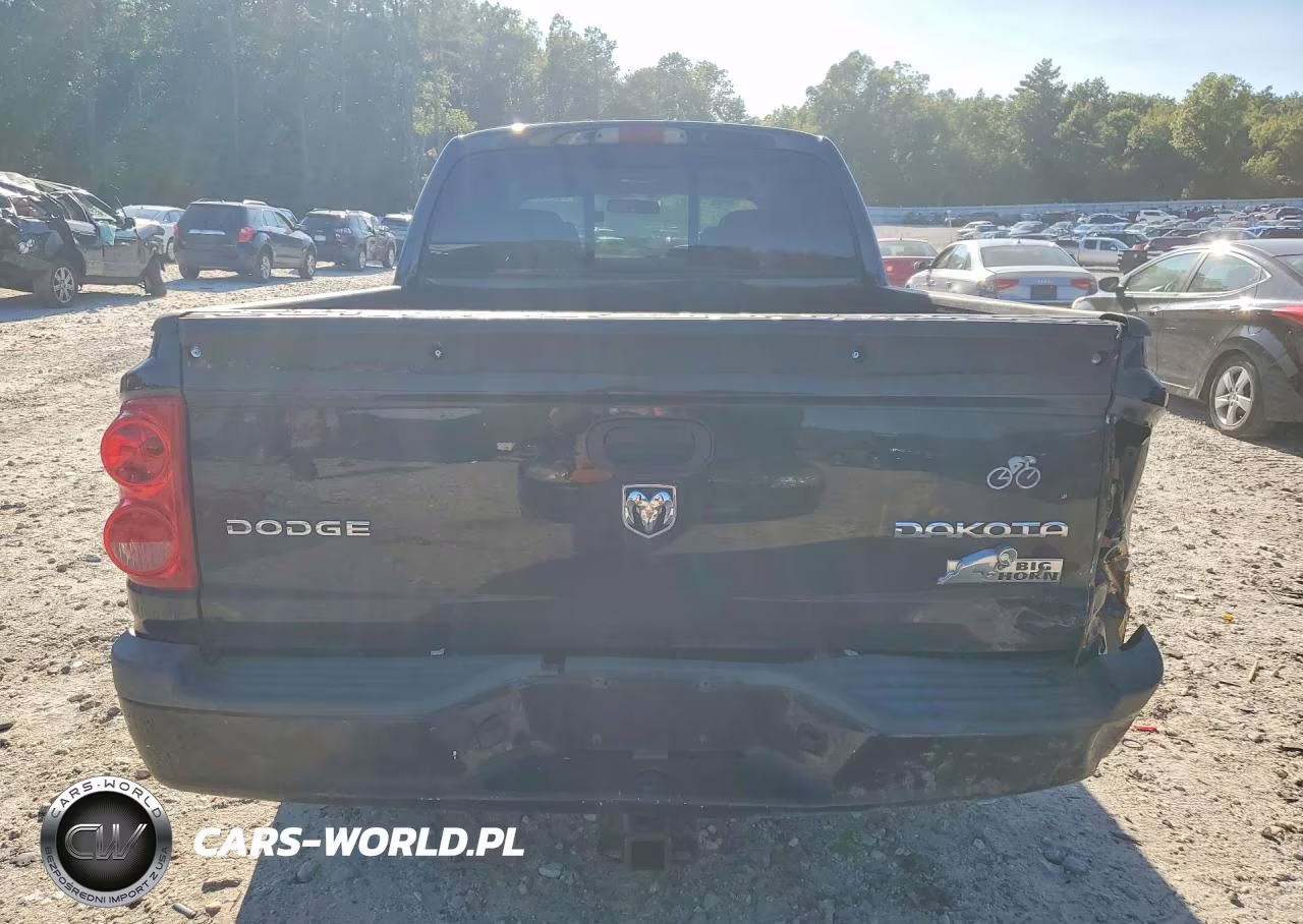 2010 Dodge Dakota Sxt VIN:1D7CW3GK4AS228292 - 6