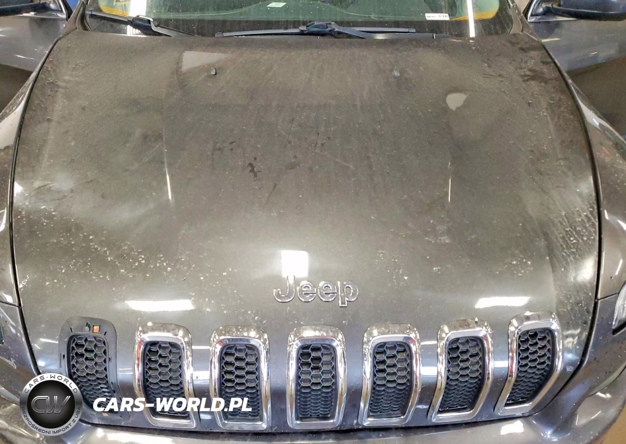 2014 Jeep Cherokee Latitude VIN:1C4PJMCB5EW286996 - 12