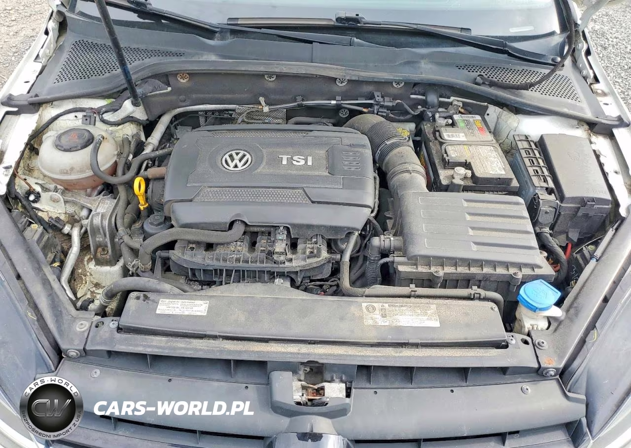 2019 Volkswagen Golf Sportwagen S VIN:3VW117AU9KM521324 - 11