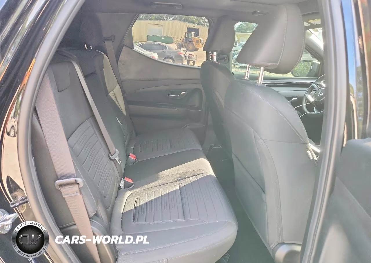 2023 Hyundai Santa Cruz Sel VIN:5NTJCDAEXPH049590 - 10