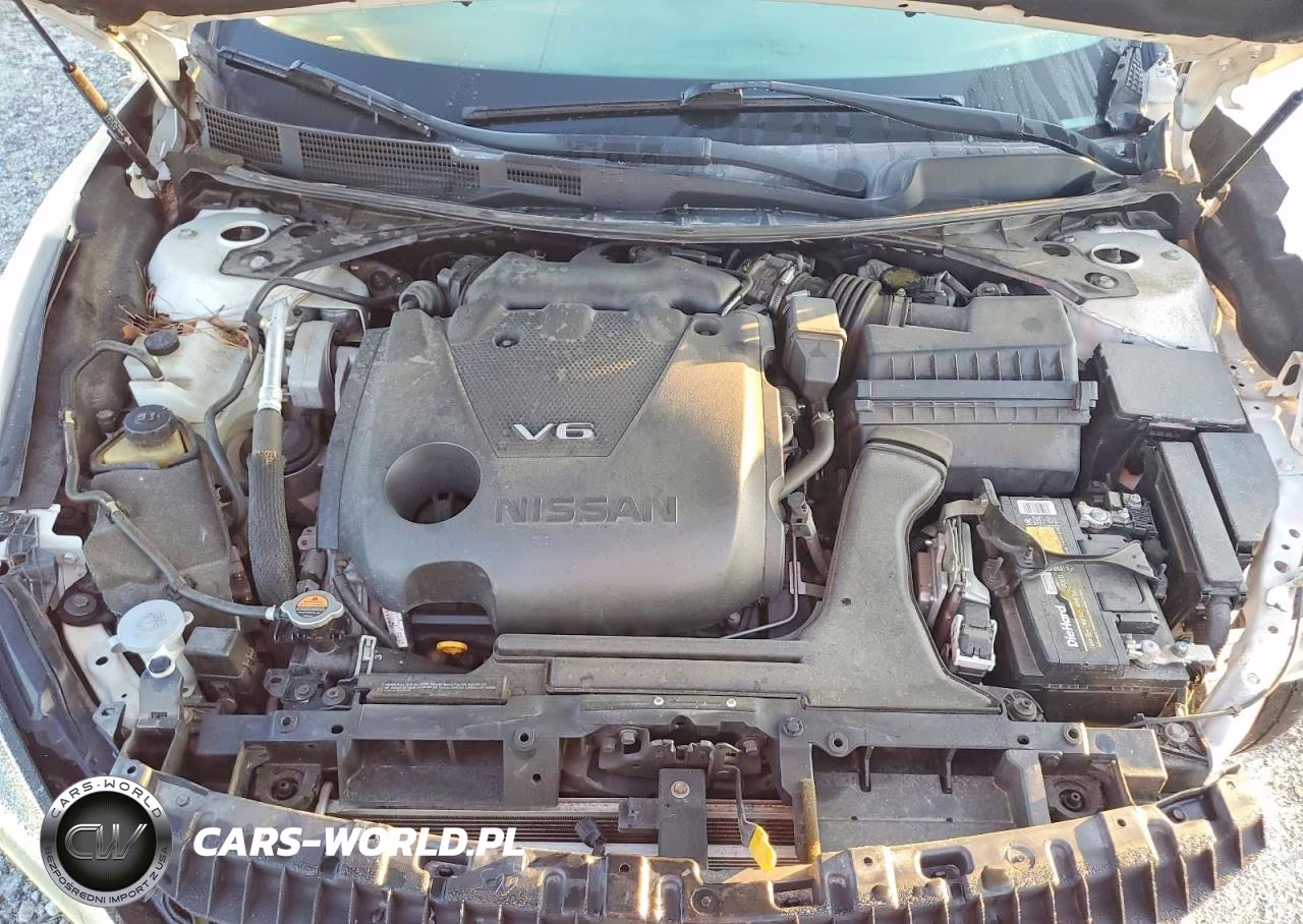 2019 Nissan Maxima Platinum VIN:1N4AA6AV2KC380738 - 11