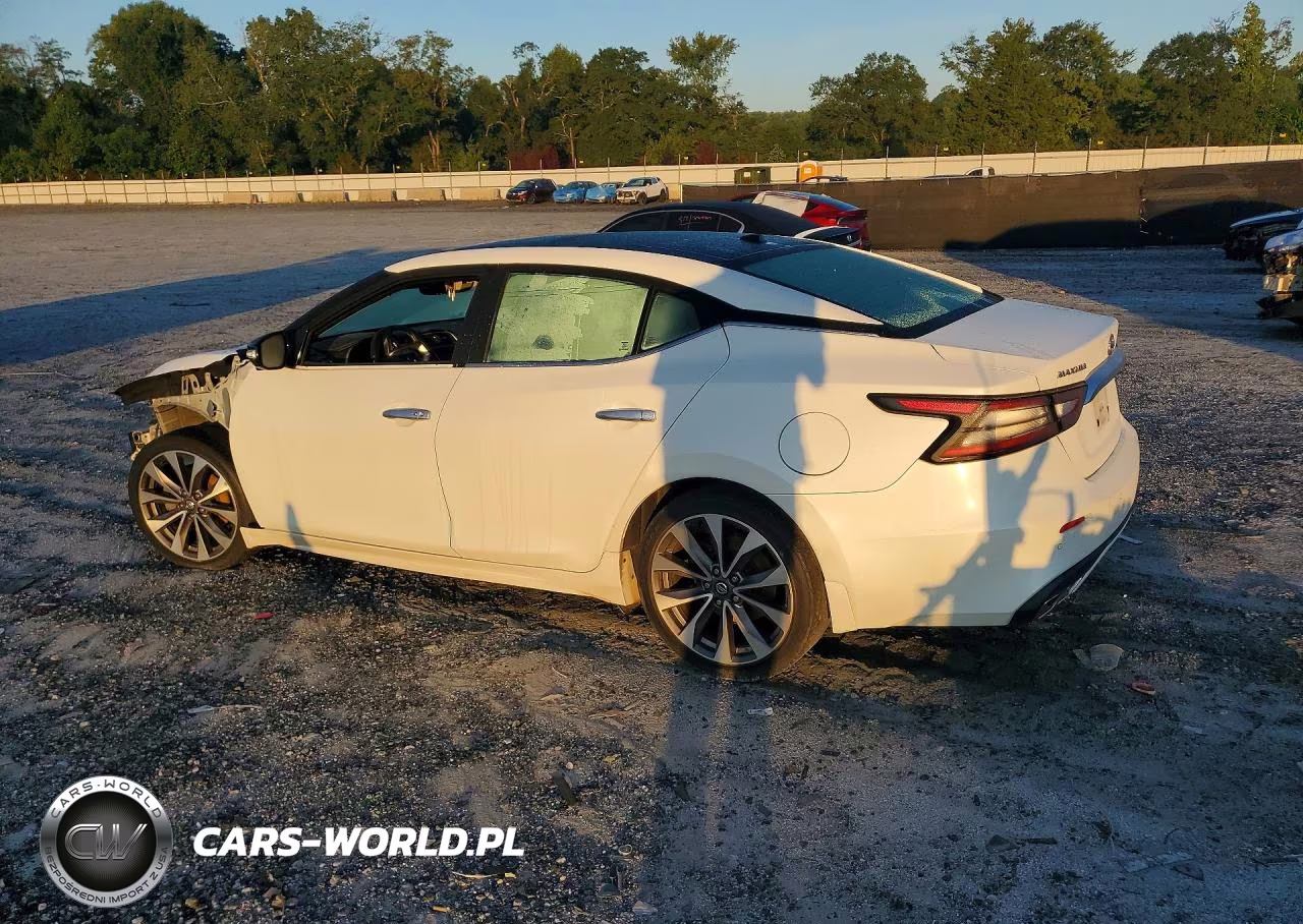 2019 Nissan Maxima Platinum VIN:1N4AA6AV2KC380738 - 2