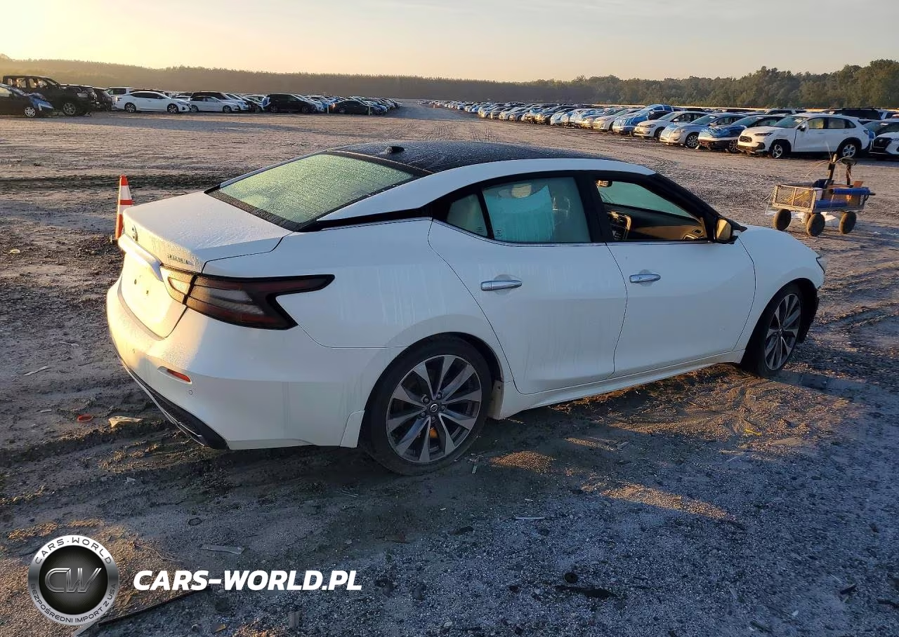 2019 Nissan Maxima Platinum VIN:1N4AA6AV2KC380738 - 3