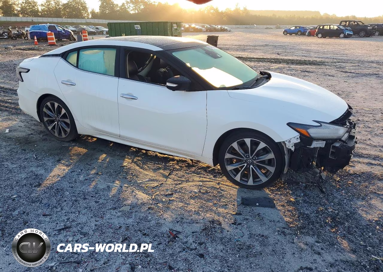 2019 Nissan Maxima Platinum VIN:1N4AA6AV2KC380738 - 4