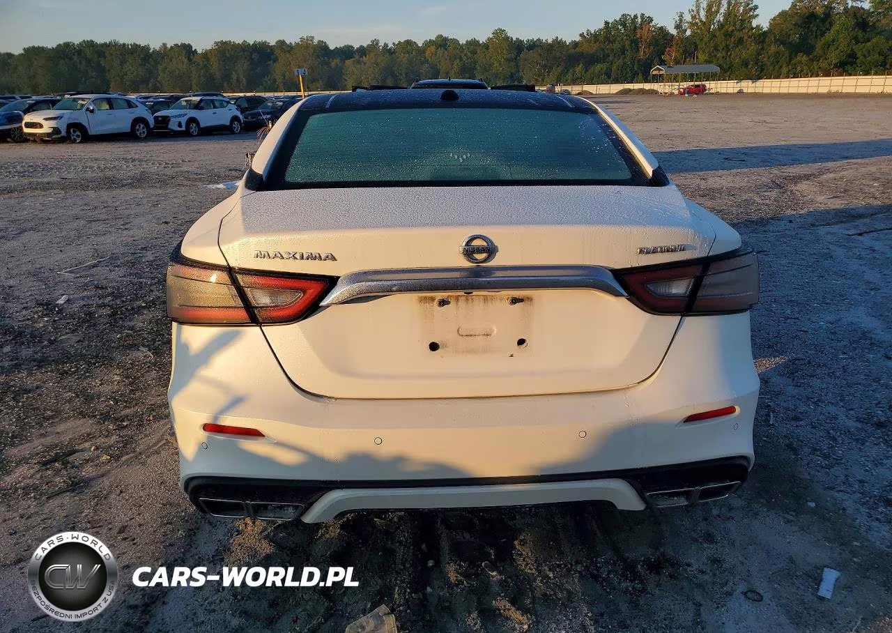 2019 Nissan Maxima Platinum VIN:1N4AA6AV2KC380738 - 6