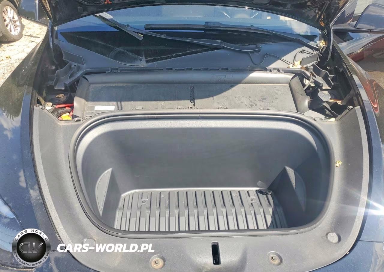 2023 Tesla Model Y VIN:7SAYGDEEXPF870069 - 11