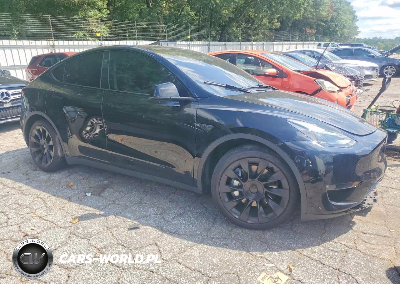 2023 Tesla Model Y VIN:7SAYGDEEXPF870069 - 4