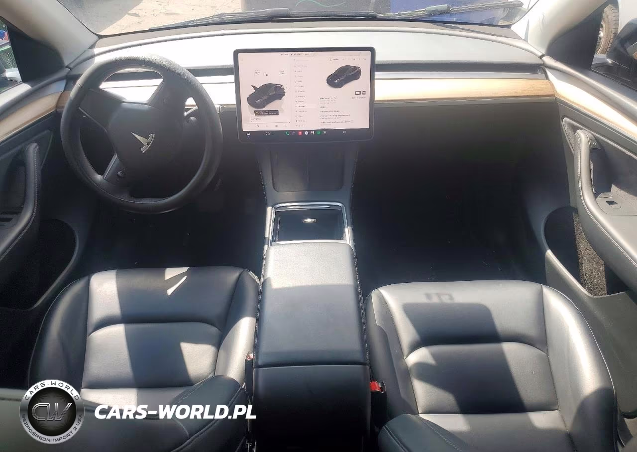 2023 Tesla Model Y VIN:7SAYGDEEXPF870069 - 8