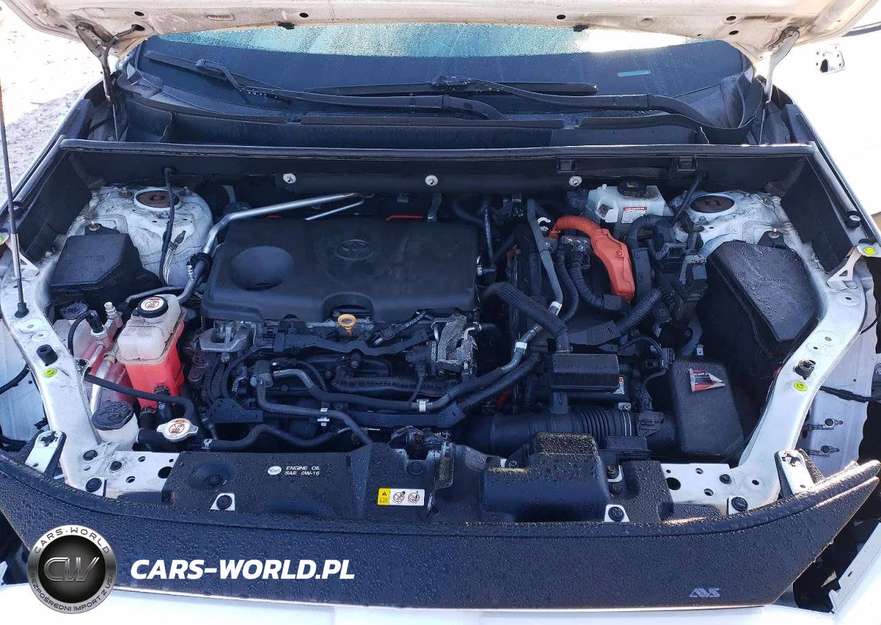 2019 Toyota Rav4 Limited VIN:2T3DWRFV3KW022838 - 12