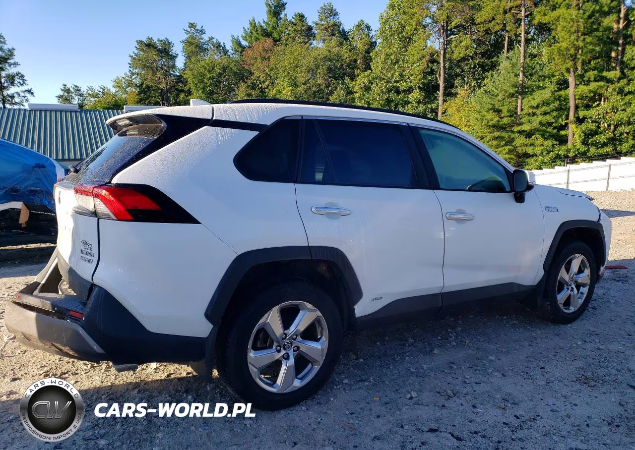2019 Toyota Rav4 Limited VIN:2T3DWRFV3KW022838 - 3