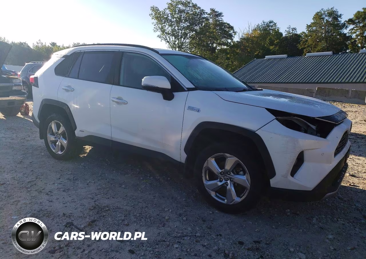 2019 Toyota Rav4 Limited VIN:2T3DWRFV3KW022838 - 4