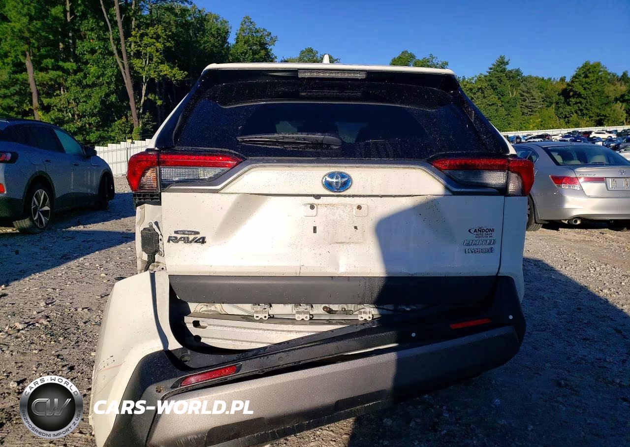 2019 Toyota Rav4 Limited VIN:2T3DWRFV3KW022838 - 6
