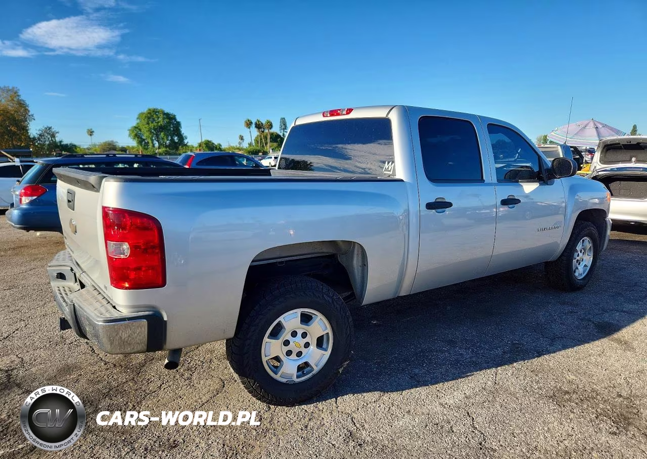2010 Chevrolet Silverado C1500 Lt VIN:3GCRCSE09AG300166 - 3