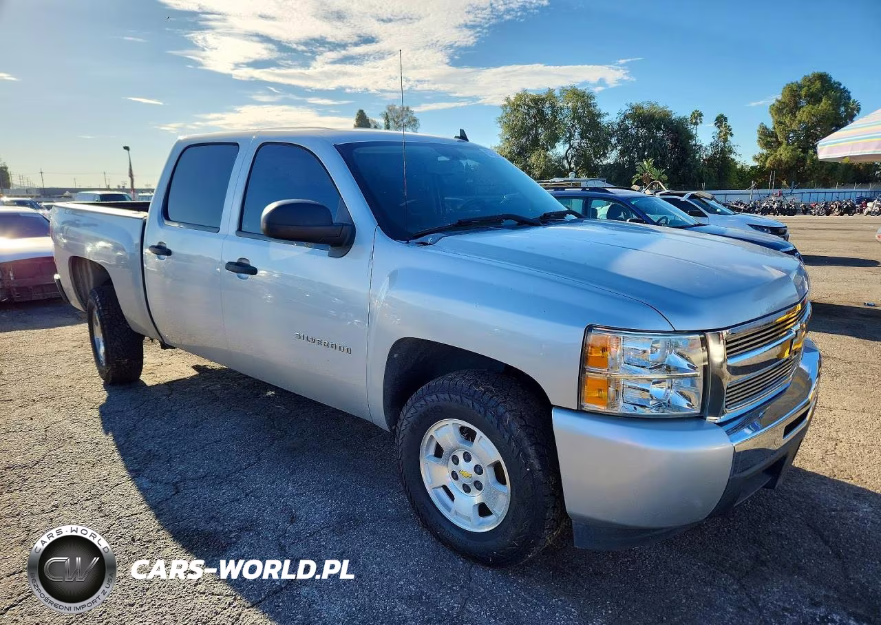 2010 Chevrolet Silverado C1500 Lt VIN:3GCRCSE09AG300166 - 4