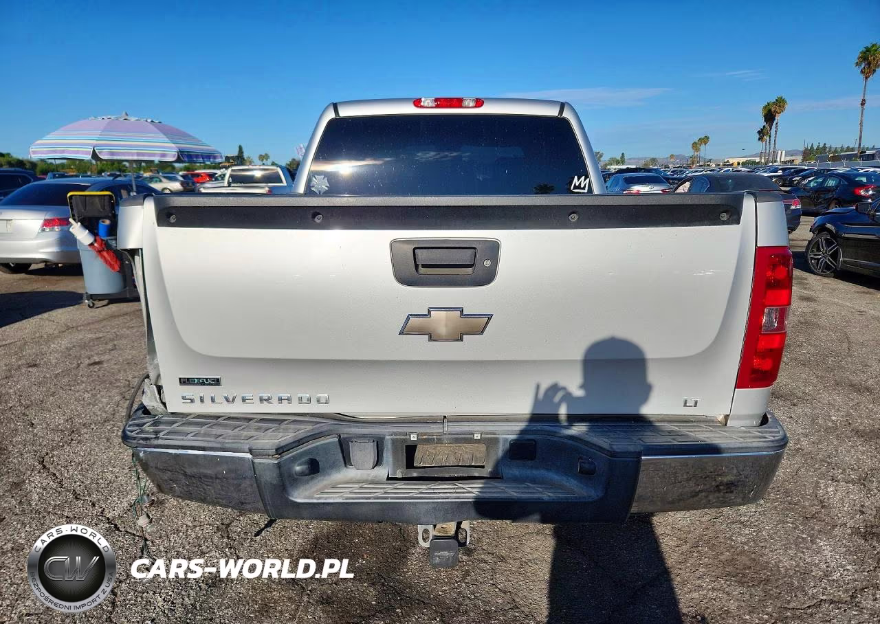 2010 Chevrolet Silverado C1500 Lt VIN:3GCRCSE09AG300166 - 6