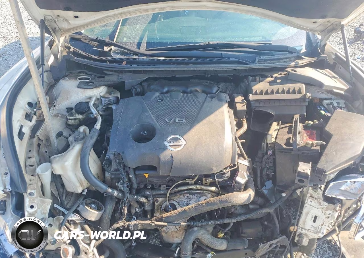 2009 Nissan Maxima 3.5 S VIN:1N4AA51E09C820735 - 11