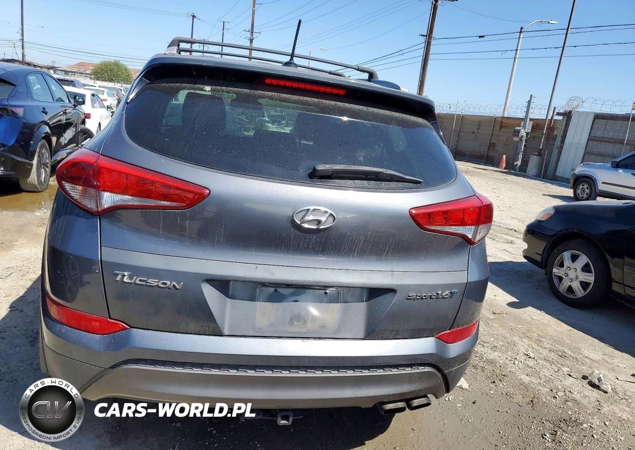 2016 Hyundai Tucson Sport VIN:KM8J33A22GU120877 - 6