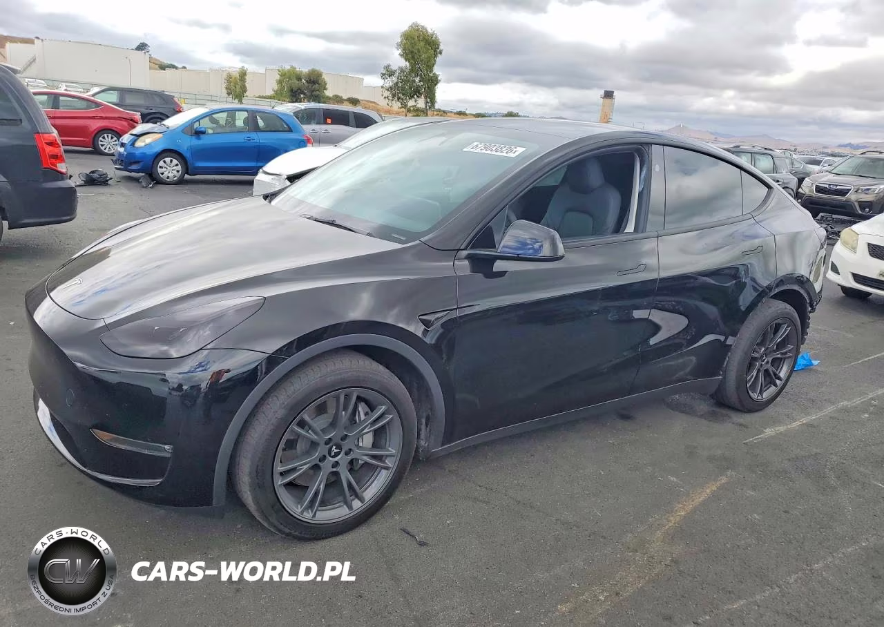 2024 Tesla Model Y