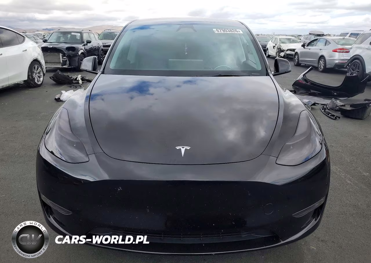 2024 Tesla Model Y VIN:7SAYGAEE2RF184321 - 5