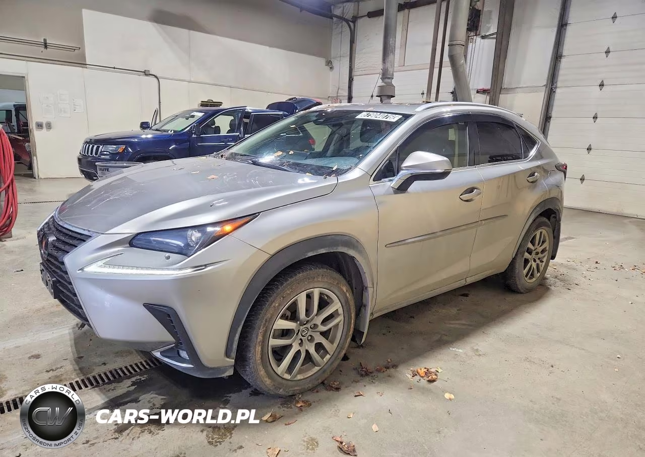 2021 Lexus Nx 300 Base VIN:JTJGARDZ8M2237836 - 1