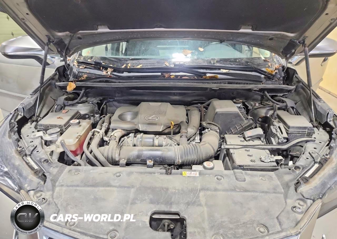 2021 Lexus Nx 300 Base VIN:JTJGARDZ8M2237836 - 12