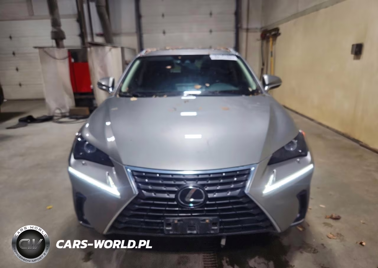 2021 Lexus Nx 300 Base VIN:JTJGARDZ8M2237836 - 5