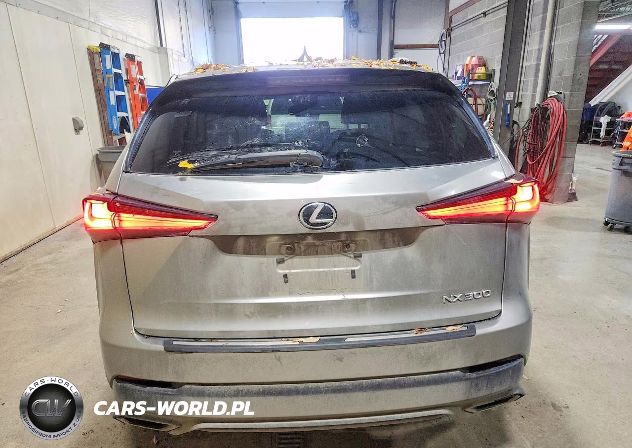2021 Lexus Nx 300 Base VIN:JTJGARDZ8M2237836 - 6