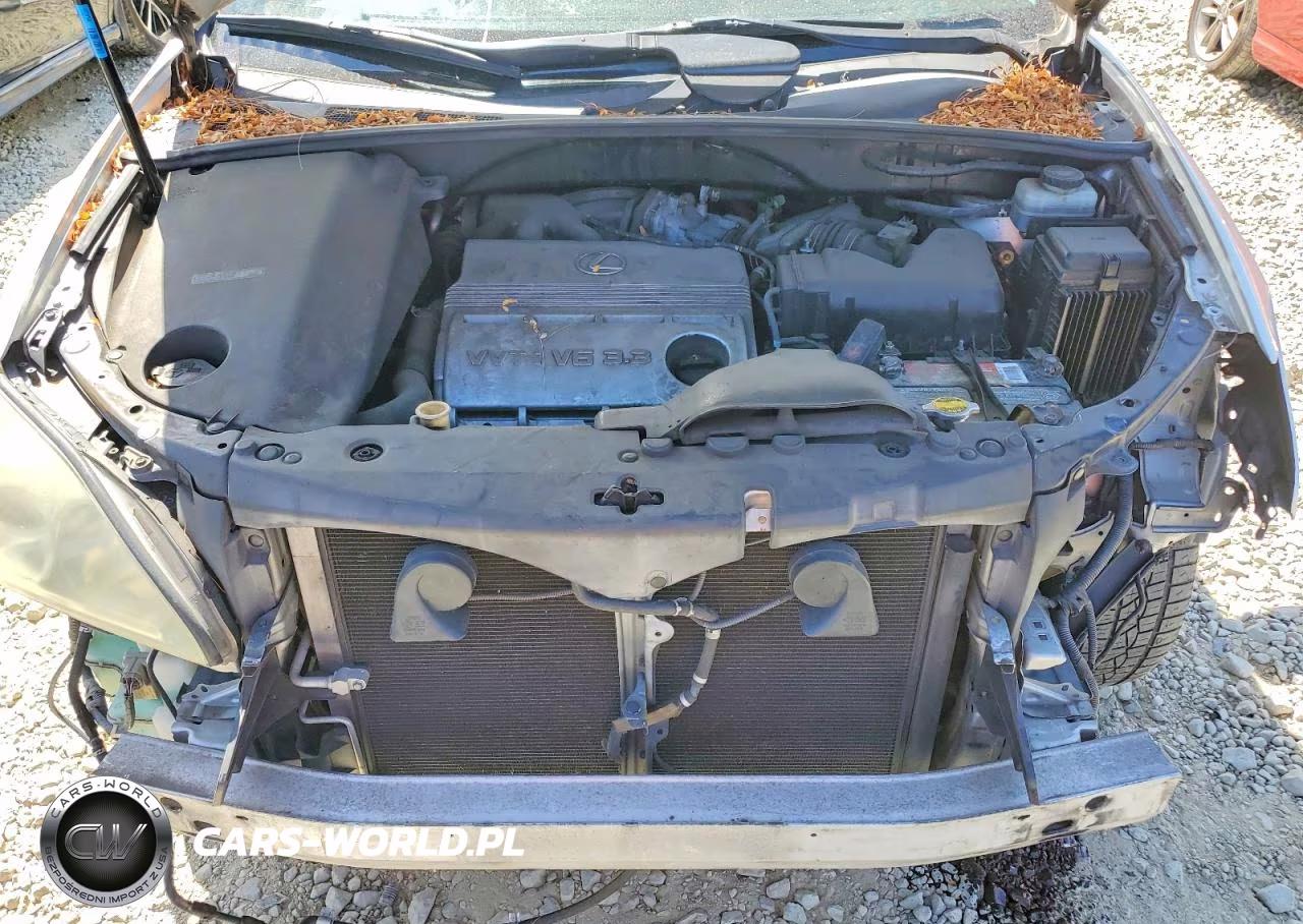 2004 Lexus Rx 330 VIN:JTJHA31UX40040544 - 12
