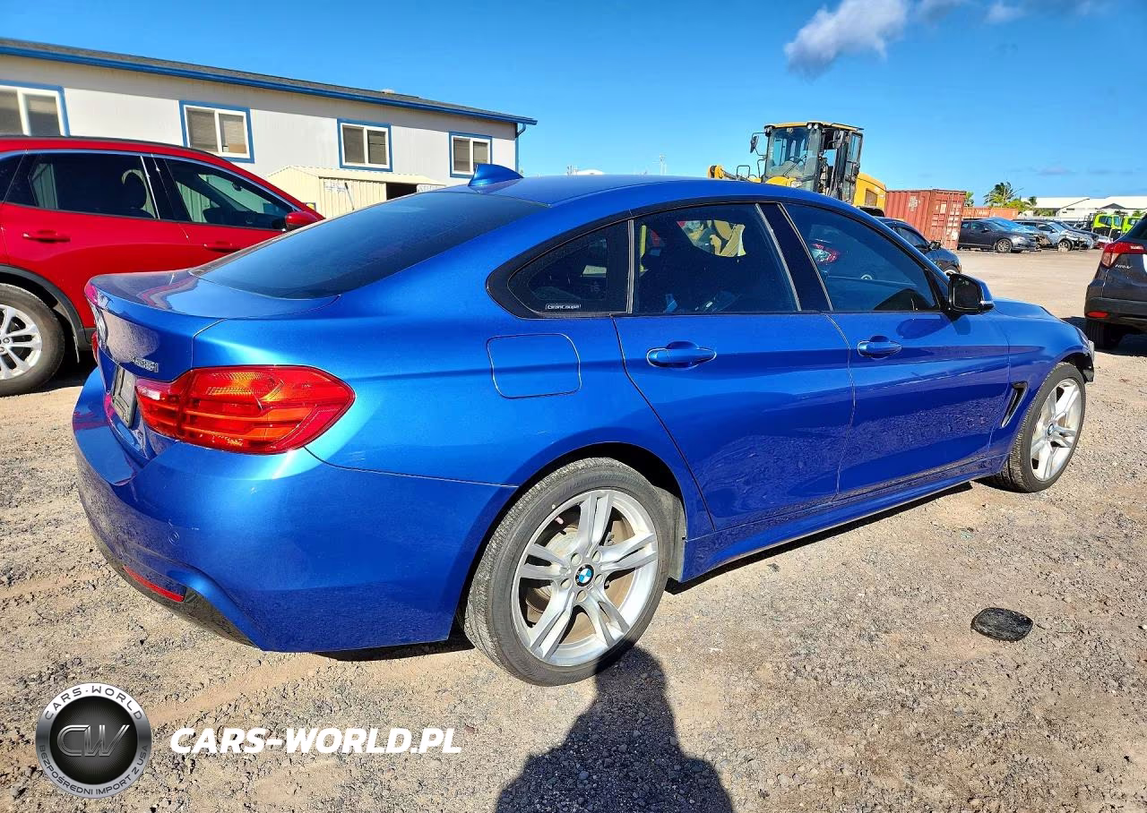 2015 BMW 428 Xi Gran Coupe VIN:WBA4A7C58FD414091 - 3