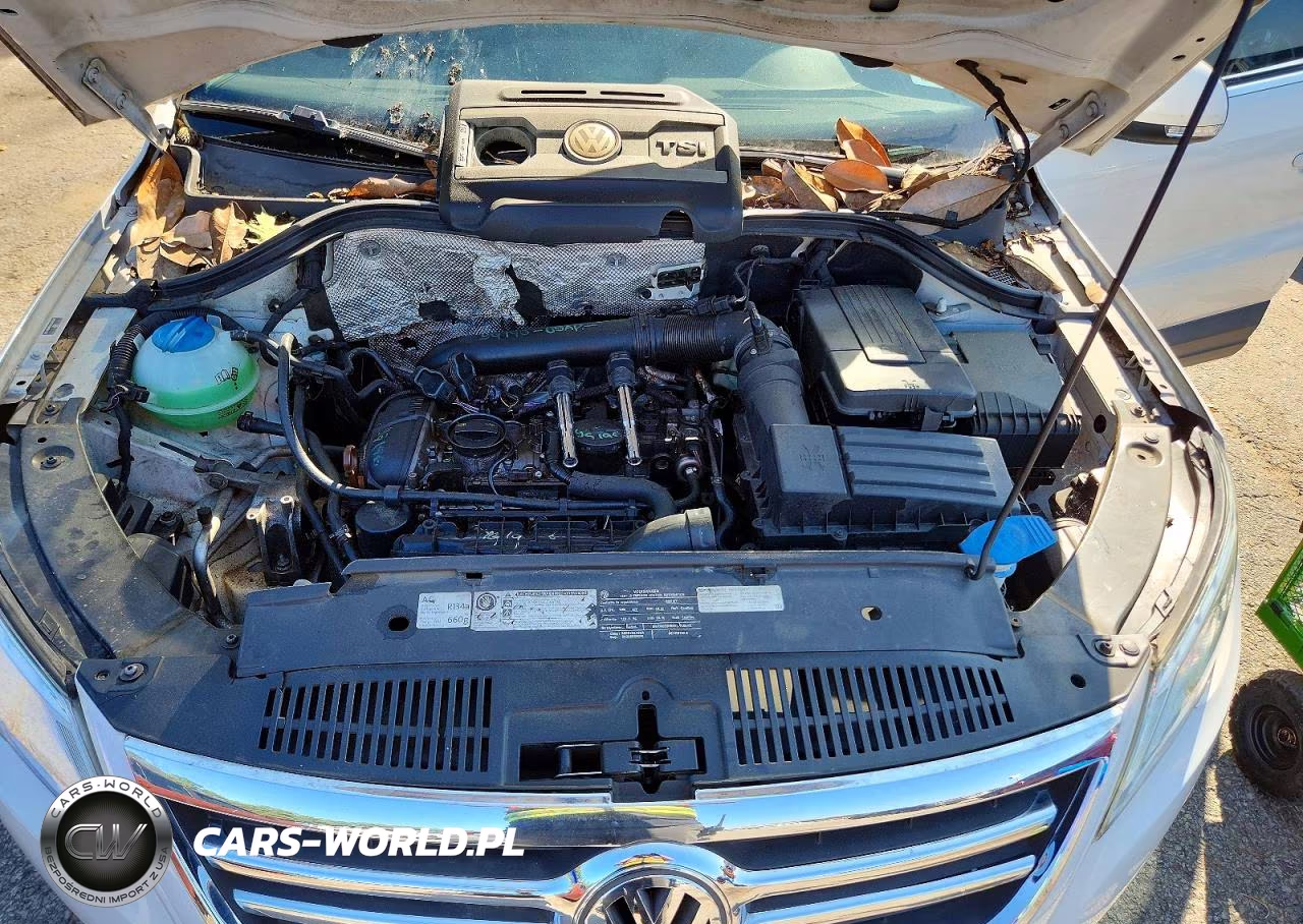 2011 Volkswagen Tiguan S VIN:WVGAV7AX0BW541197 - 12