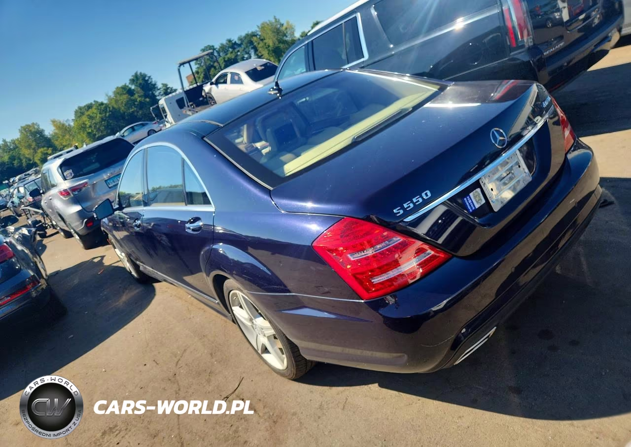 2010 Mercedes-Benz S 550 4Matic VIN:WDDNG8GB7AA333689 - 2