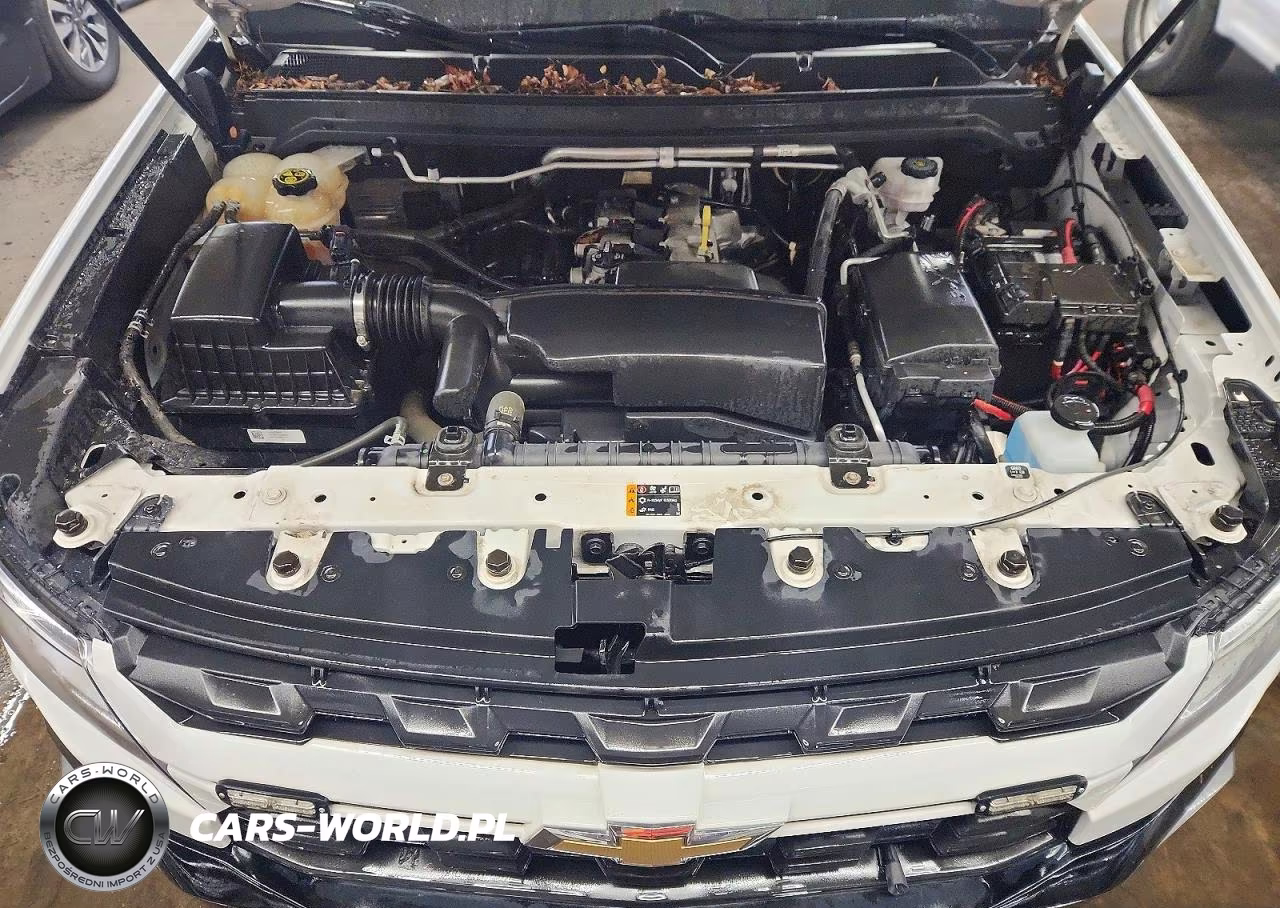 2022 Chevrolet Colorado Lt VIN:1GCHSCEA1N1219910 - 11