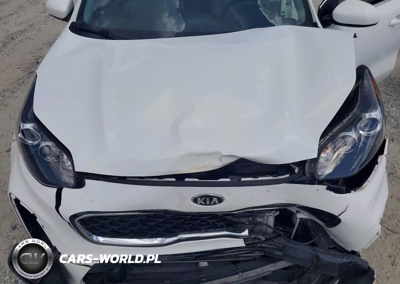2021 Kia Sportage Lx VIN:KNDPM3AC3M7876720 - 12