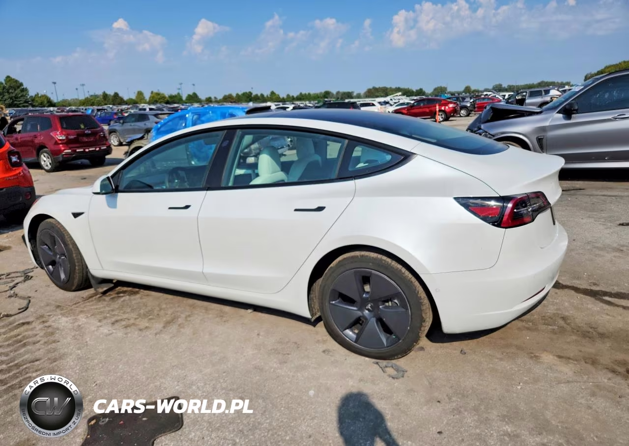 2022 Tesla Model 3 VIN:5YJ3E1EB0NF234226 - 2