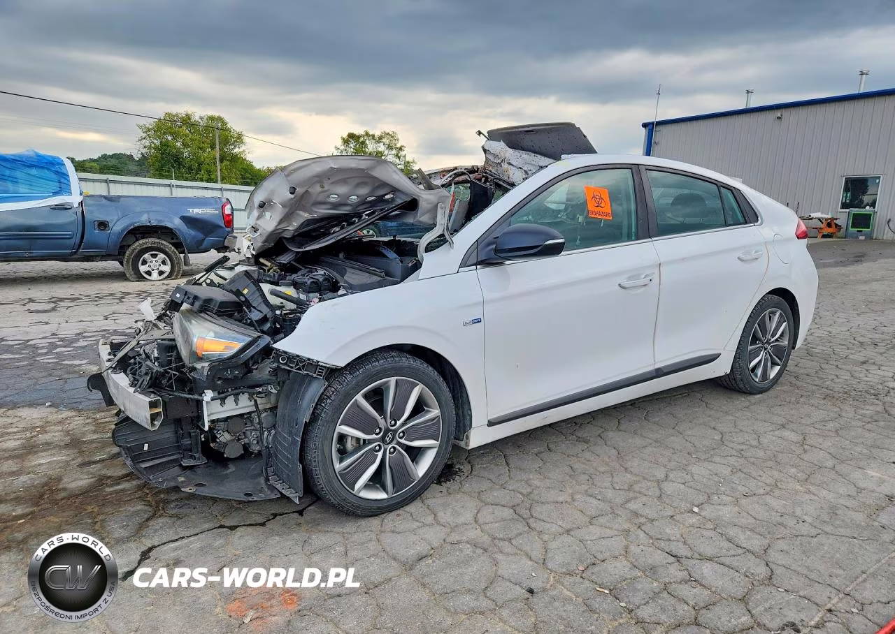 2019 Hyundai Ioniq Limited VIN:KMHC05LCXKU138412 - 1