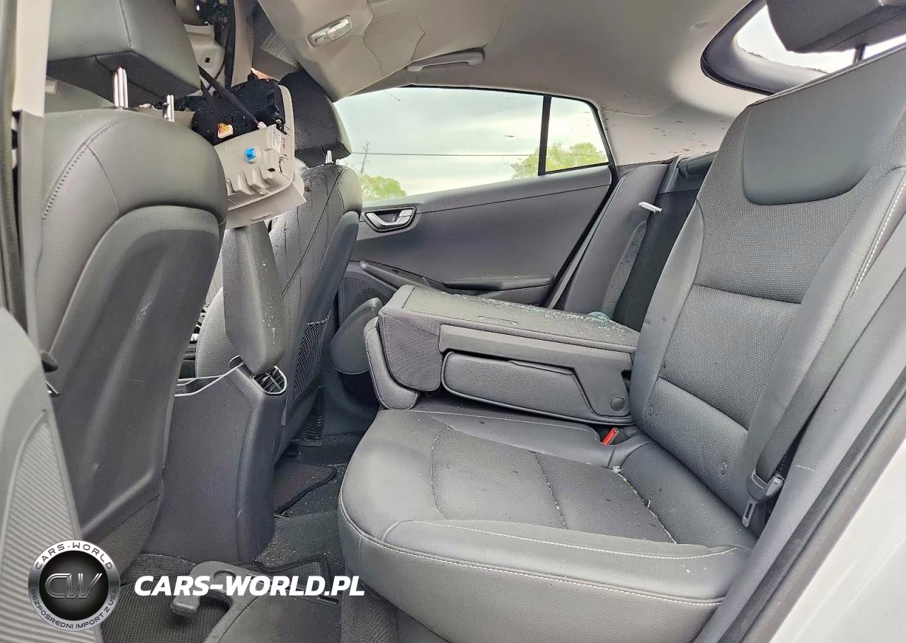 2019 Hyundai Ioniq Limited VIN:KMHC05LCXKU138412 - 10