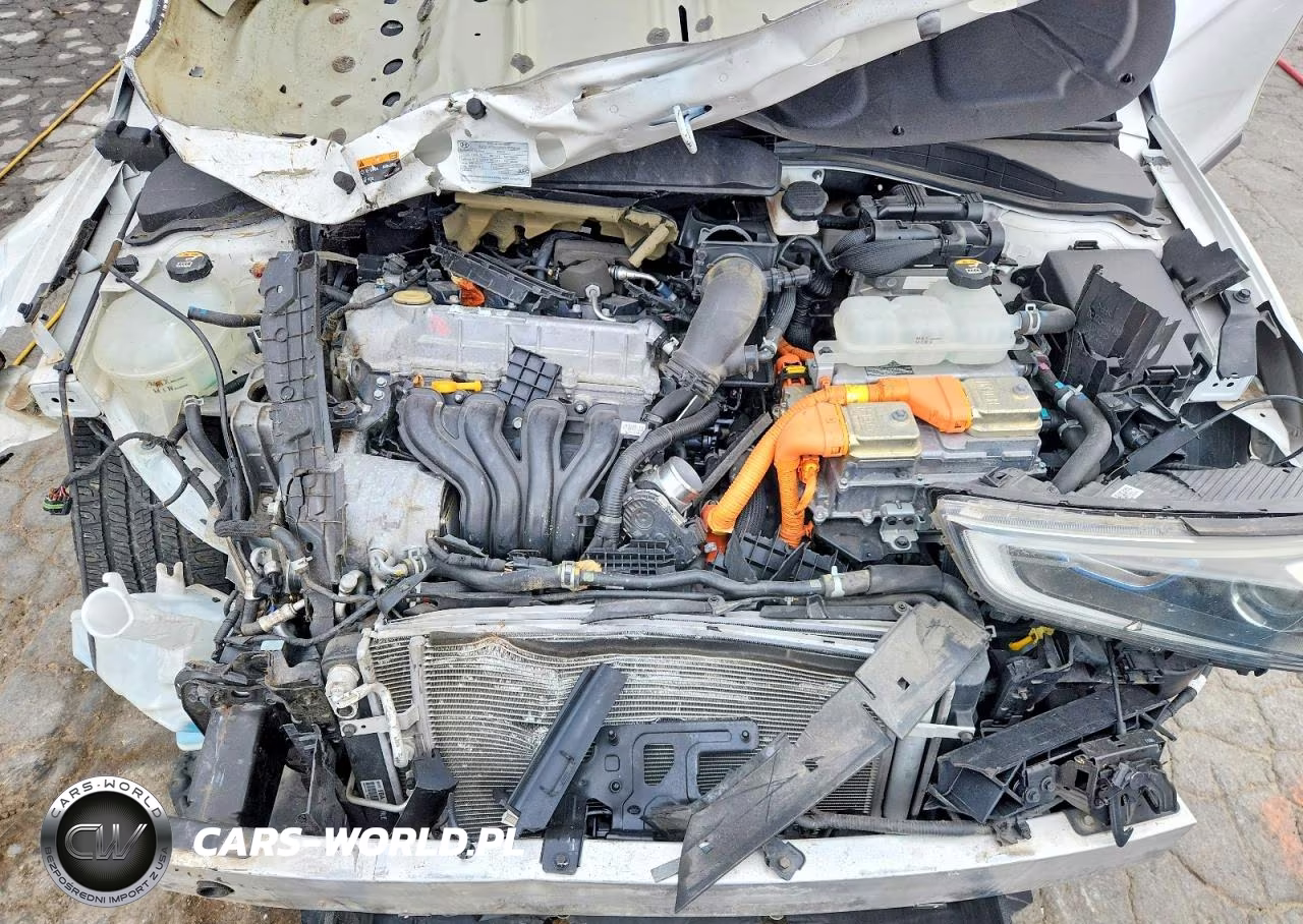 2019 Hyundai Ioniq Limited VIN:KMHC05LCXKU138412 - 11