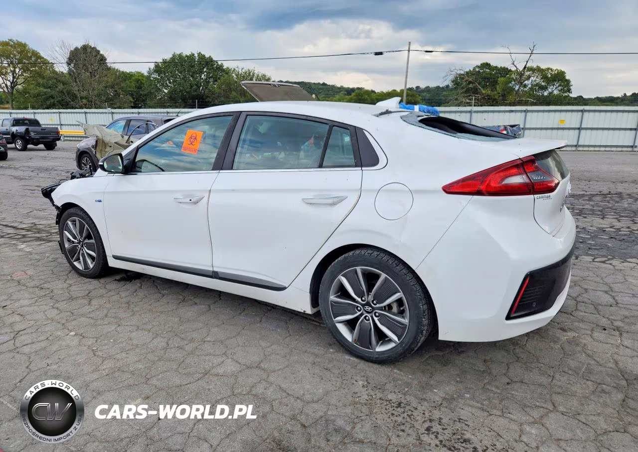 2019 Hyundai Ioniq Limited VIN:KMHC05LCXKU138412 - 2
