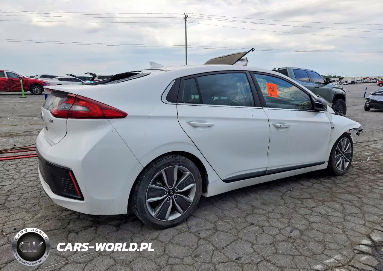 2019 Hyundai Ioniq Limited VIN:KMHC05LCXKU138412 - 3