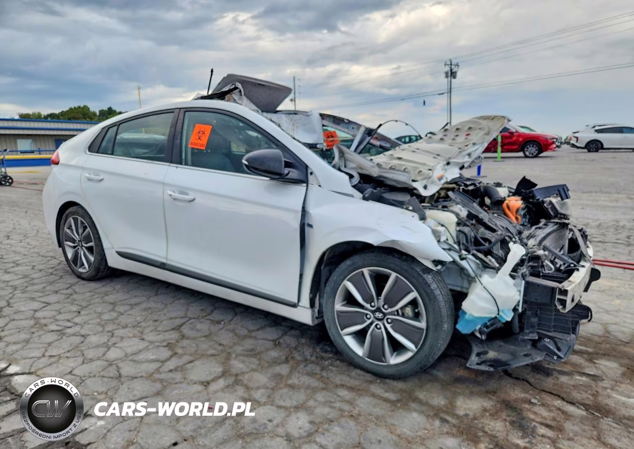 2019 Hyundai Ioniq Limited VIN:KMHC05LCXKU138412 - 4