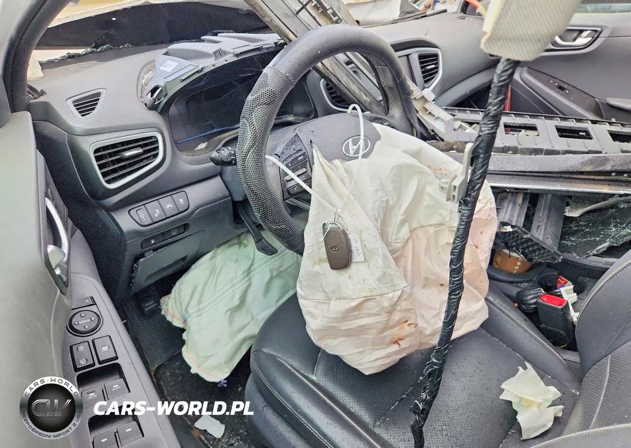 2019 Hyundai Ioniq Limited VIN:KMHC05LCXKU138412 - 8