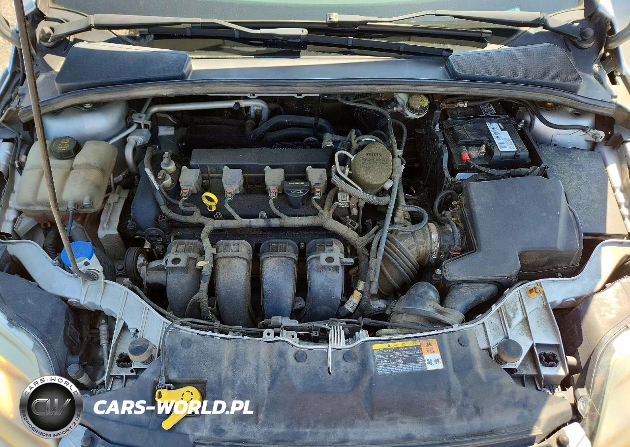 2014 Ford Focus Se VIN:1FADP3K22EL141869 - 11